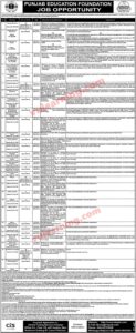 PEF Jobs 2025